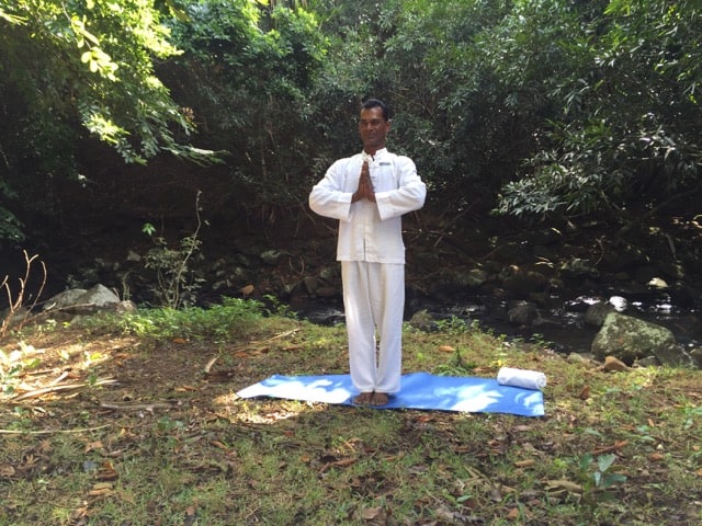 yoga-jungle-photo