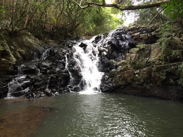 waterfall-frederica-nature-reserve-photo