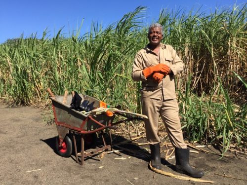 mauritius-sugarcane-farmer-photo