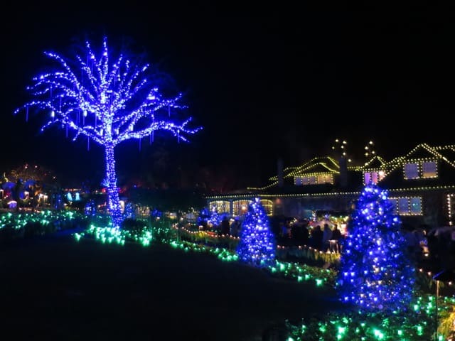 butchart-gardens-christmas-lights-photo