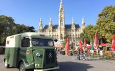 Exploring Vienna in a day by foot rathaus-vienna-photo