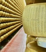 things to do emilia romagna photo
