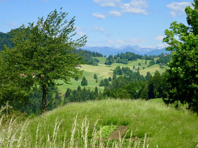 slovenian-countryside-photo
