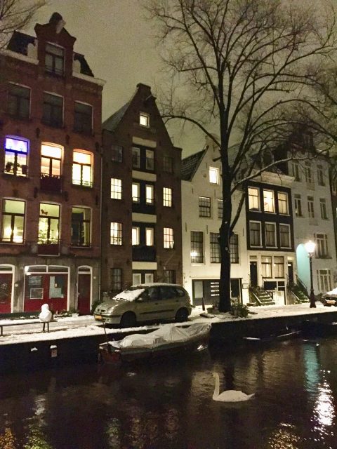 groenburgwal-swan-snow-amsterdam-photo