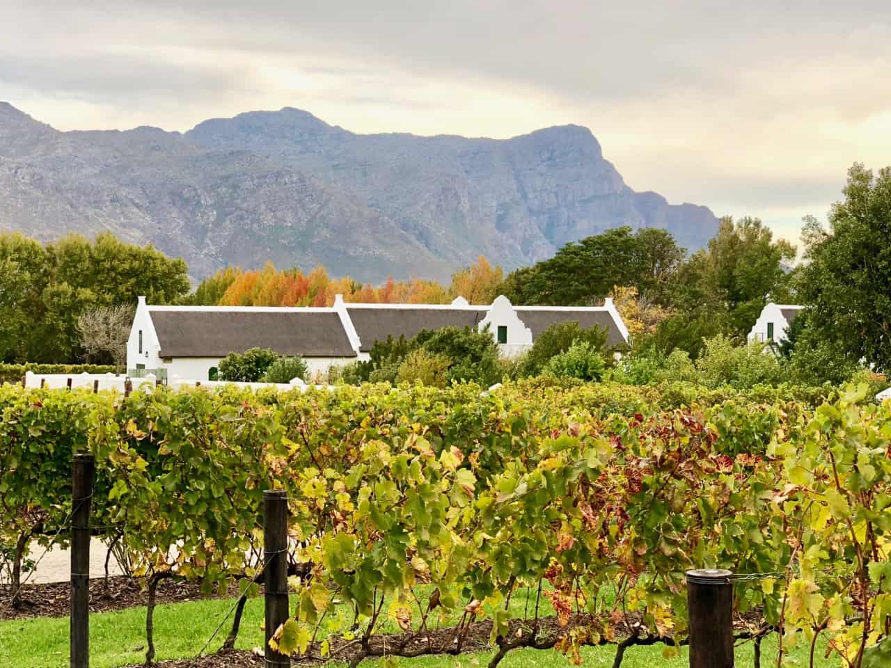 La Motte one of the finest wine estates in Franschhoek Velvet Escape