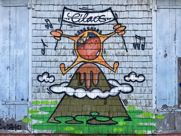 Photos of street art in Reunion Island | Velvet Escape