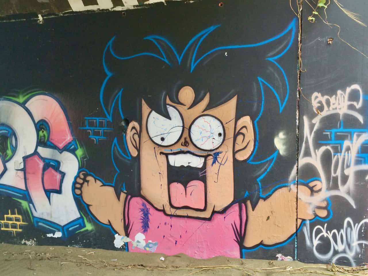 Photos of street art in Reunion Island | Velvet Escape