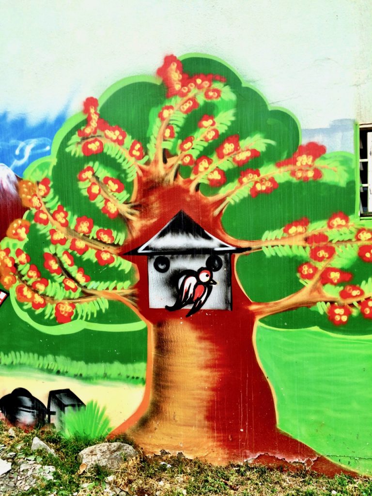 Photos of street art in Reunion Island | Velvet Escape