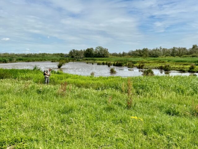 biesbosch national park
