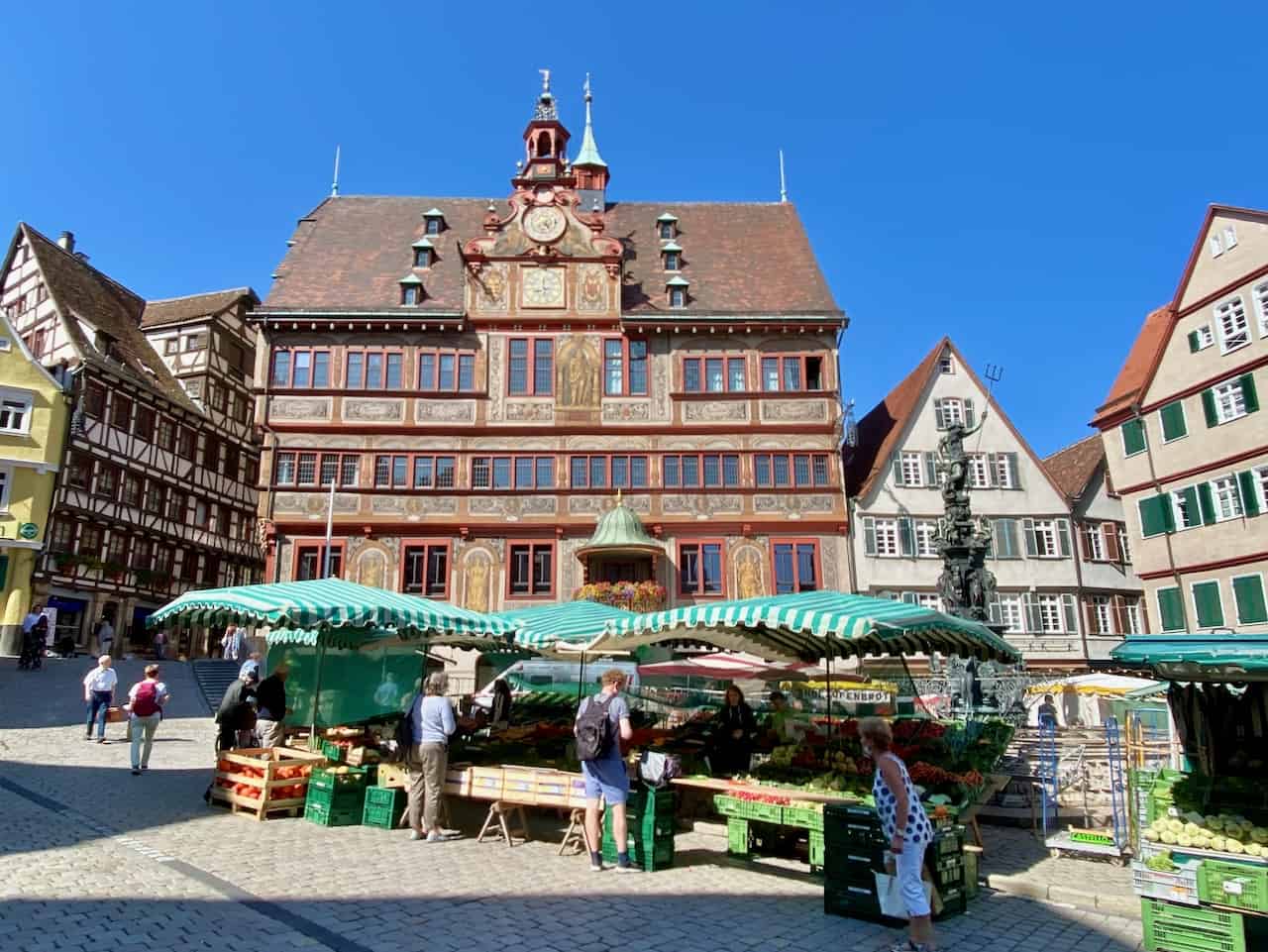 Things to do in Tübingen on a day trip Velvet Escape