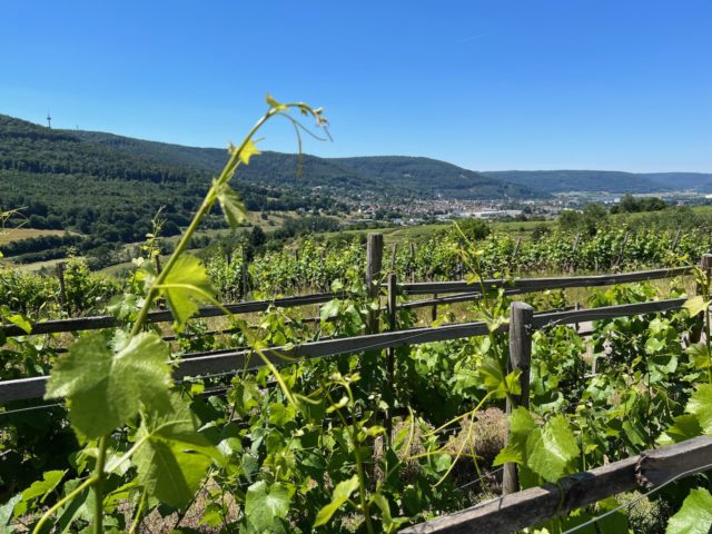 franconia wine trail