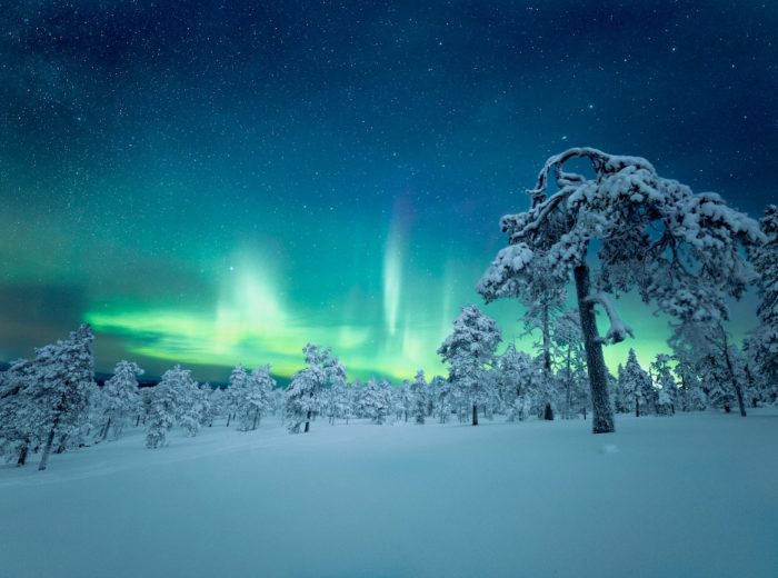 Winter adventures in Lapland
