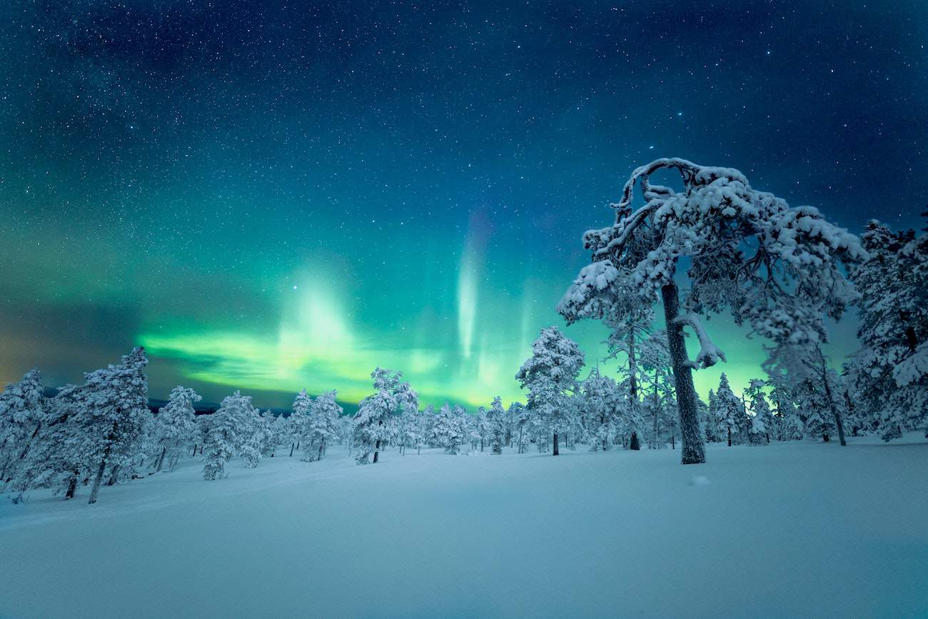 Ten things to do in Lapland in the winter