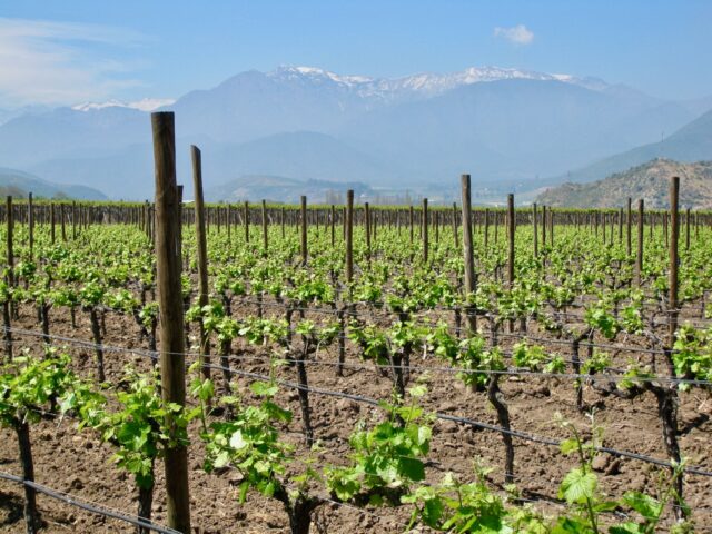 chilean wine regions to visit