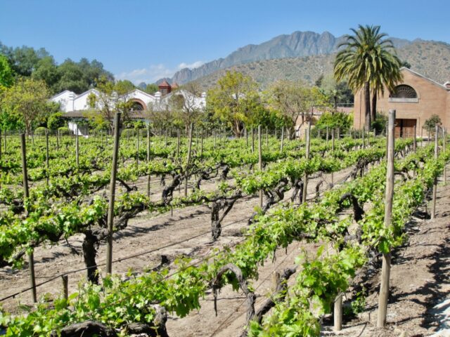 wineries to visit in chile