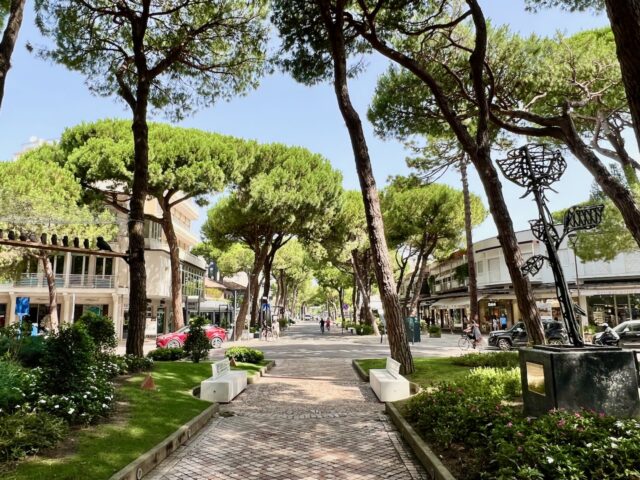 what to do in milano marittima