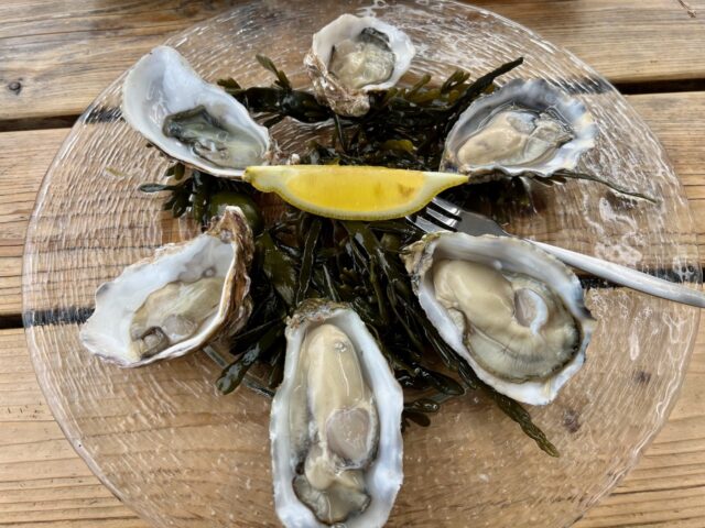 best oysters in holland