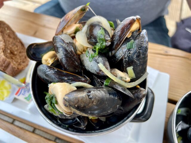 best mussels in the netherlands