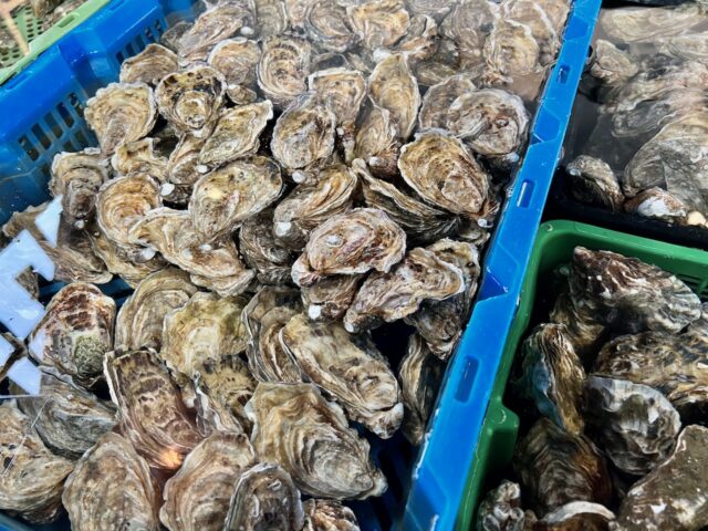 oyster capital of the netherlands