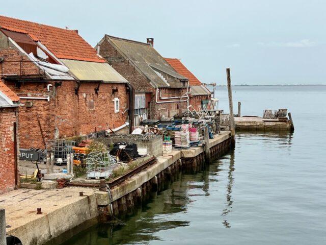 oyster town netherlands