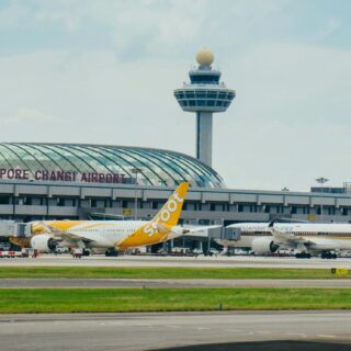 changi airport design carpets