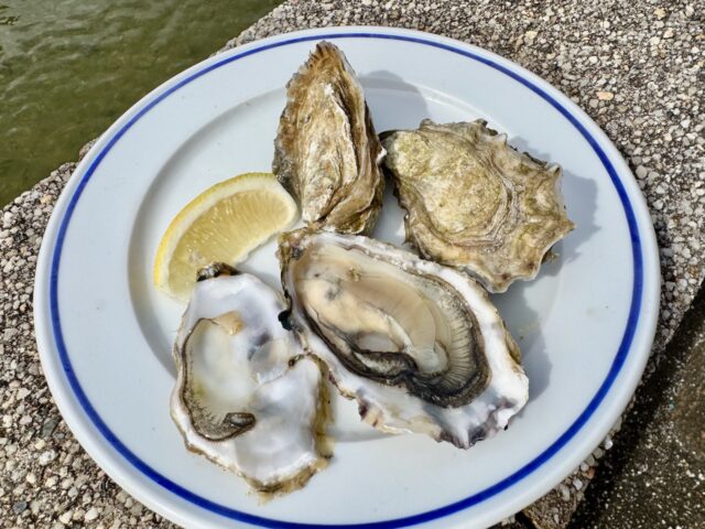 bordeaux sunday oysters and wine