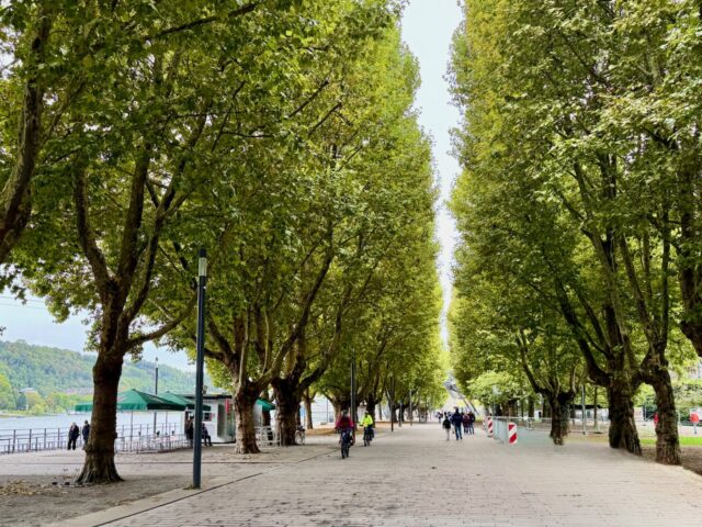 top attractions in koblenz