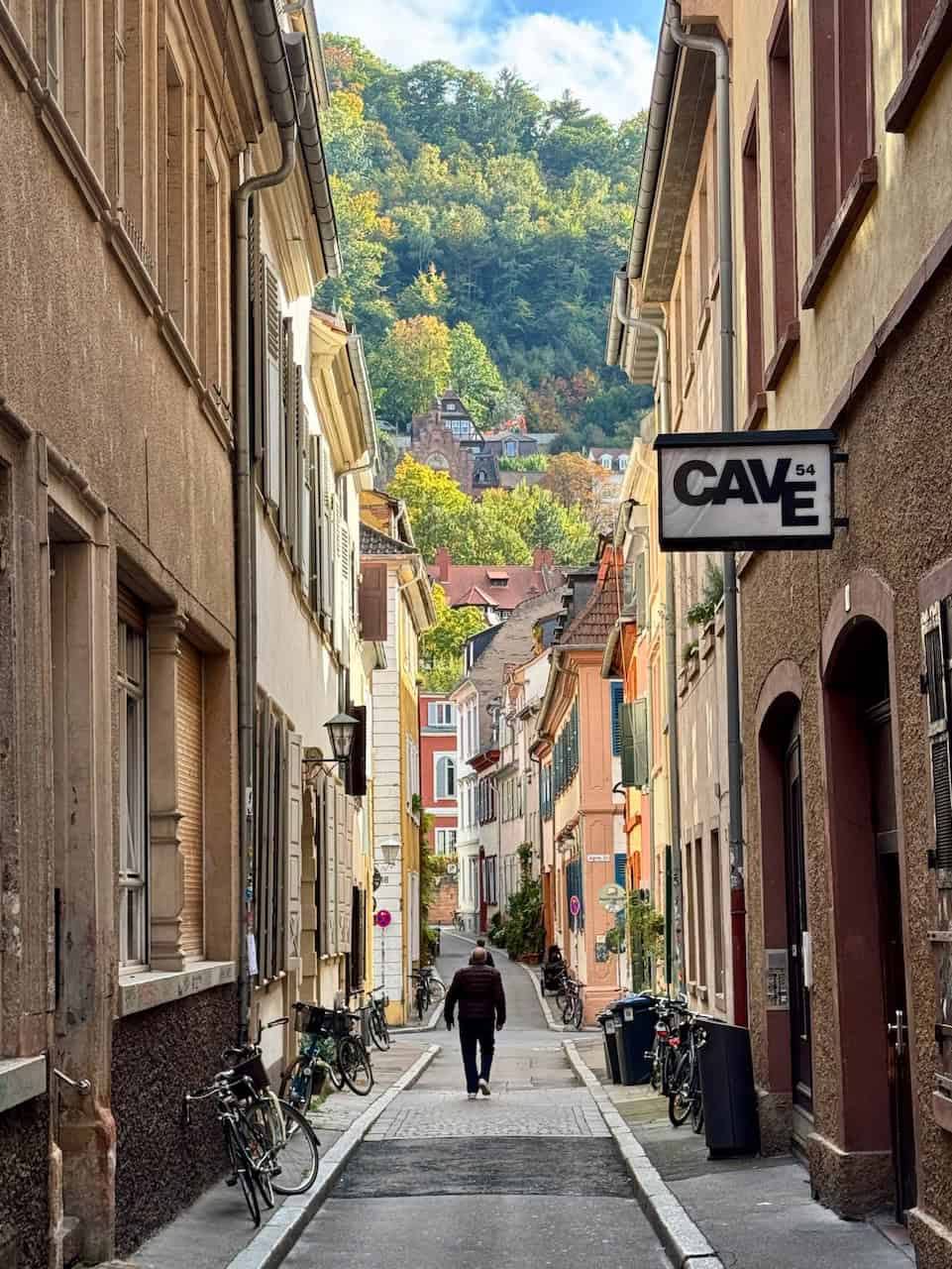 heidelberg walking route