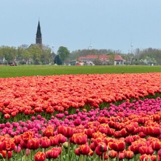 best places to visit in north holland