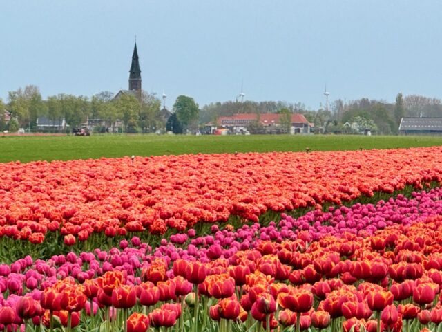 north holland attractions