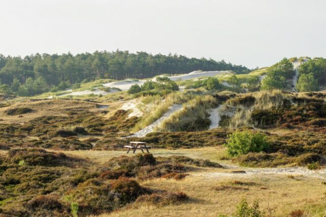 nature places to visit in north holland