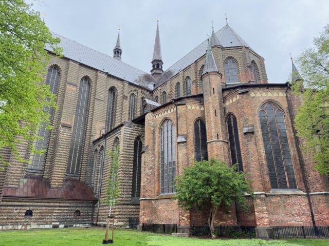 rostock highlights